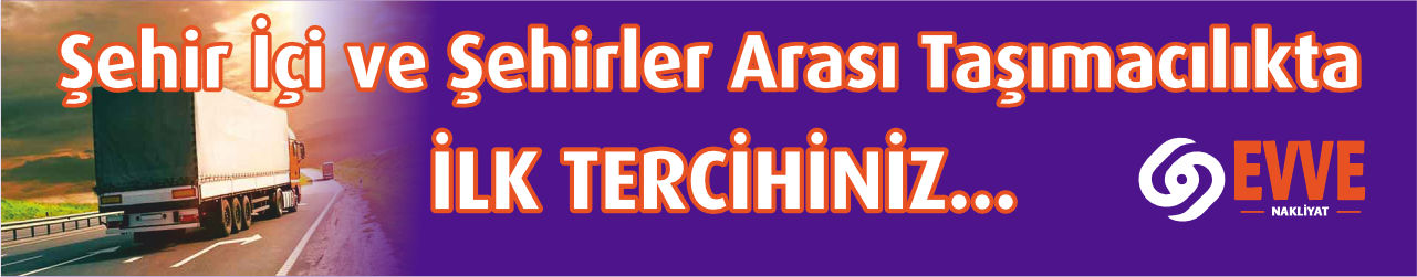 Ankara Van asansörlü nakliye